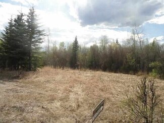 9049 Butte Creek Trail, Salcha, AK 99714