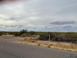 0 Lucca Rd SW Unit 20256579, Deming, NM 88030