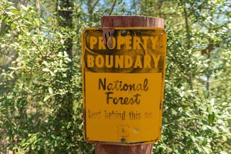 TBD Forest Service Road 527, Kennard, TX 75847