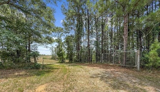 4154 Alabama 131, Clayton, AL 36016