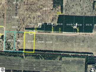 000 Meadowpine Drive Lot 15 Unit 15, Thompsonville, MI 49683