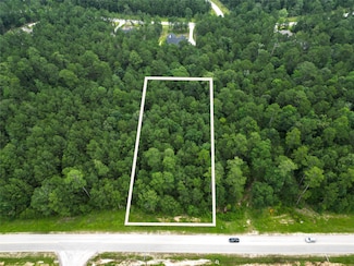 6-30-13 Dipping Vat Rd, Huntsville, TX 77340