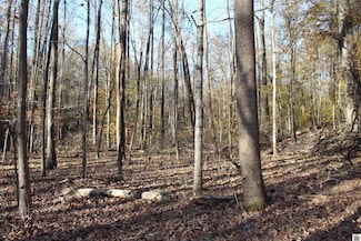 000 Parkersville Rd, Eddyville, KY 42038