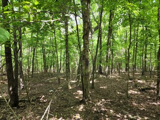 0 Sewanee Summit Rd Unit RTC2428500, Decherd, TN 37324
