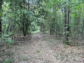0 Quail Tower Rd, Luverne, AL 36049