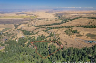 TBD Bobcat Ln, Lewiston, ID 83501