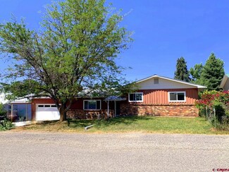 790 NE 2nd St, Cedaredge, CO 81413