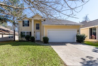 203 N Vesper Bend Cir, Spring, TX 77382