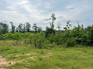 1100 Drybridge Rd, Scottsburg, VA 24589