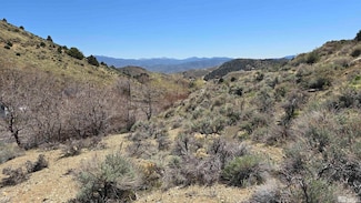 1920 S Main St, Virginia City, NV 89440