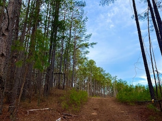 0 Crisstown Rd Unit 22533791, Vance, AL 35490