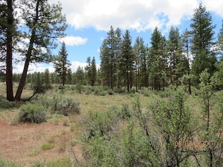 0 Seagull Dr Unit Lots 1, 2 & 3, Bonanza, OR 97623