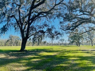 TBD NW 160th St, Reddick, FL 32686