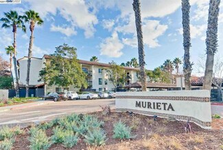 39975 Cedar Blvd Unit 243, Newark, CA 94560