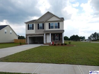 1240 Purple Martin Dr, Effingham, SC 29541