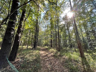 TBD John Allen Rd, Waynesboro, MS 39367