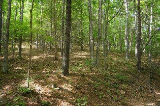 TBD #11 Middle Mountain Rd, Covington, VA 24426