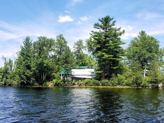 71 Loon Island Blueberry Island, Orneville Township, ME 04453