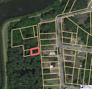 TBD Chapel St, Latta, SC 29565