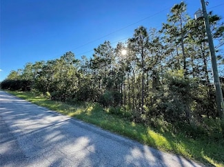 16 Mayten Ct N, Homosassa, FL 34446