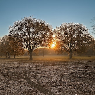 647 County Road 4642, Trenton, TX 75490