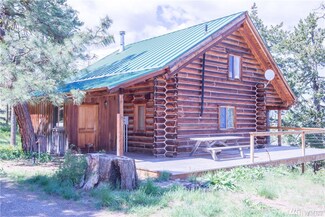 46 Nighthawk Ridge Rd, Winthrop, WA 98862
