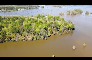 4 Sawdust Trail, Cobb, GA 31735