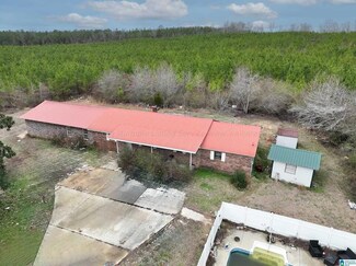 6345 County Road 44, Carbon Hill, AL 35549