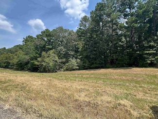 TBD Farm To Market 1520, Pittsburg, TX 75686