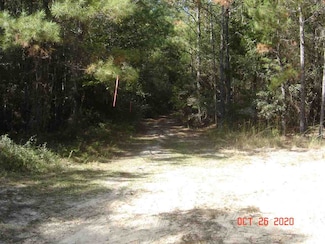 48 acres + or - Brooklyn Rd, Andalusia, AL 36420