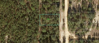 153 Romanshorn St, Interlachen, FL 32148