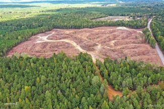 13033 U S 43, Linden, AL 36748