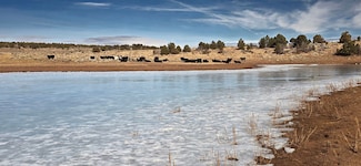 0 Tbd Peter Spring Rd Unit 18899029, Monticello, UT 84535