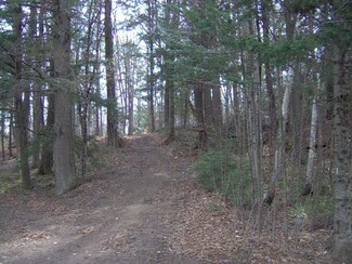 ON Village View Dr, Townsend, WI 54175