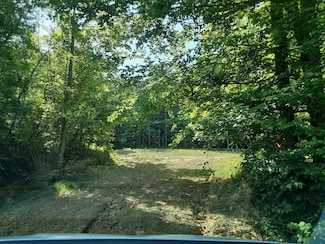 0 Penrod Rd Hwy 949 Unit 11559141, Dunmor, KY 42339