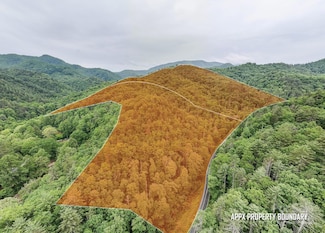 399 Shell Stand Rd, Almond, NC 28771