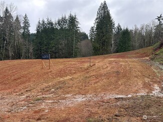 161 Ash Mountain Dr, Castle Rock, WA 98611