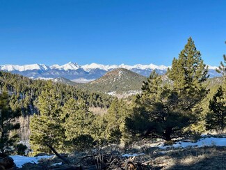 1716 County Road 327, Westcliffe, CO 81252