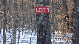LOT 1 Warner Lake Rd, La Follette, WI 54893