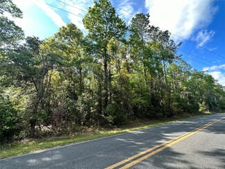 190 S West Rum Island Terrace, Fort White, FL 32038
