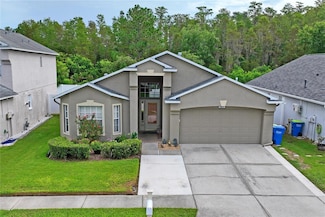 30639 Tremont Dr, Wesley Chapel, FL 33543