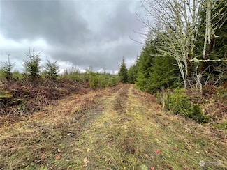 10 xx Oppelt Rd, Onalaska, WA 98570