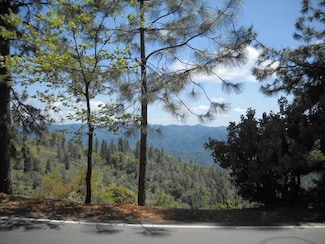 1202 Heather Dr, Murphys, CA 95247