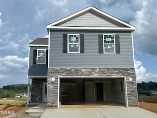 311 Cookie Loop, Johnson City, TN 37615
