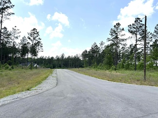lot 16 Grant County Road 761, Sheridan, AR 72150