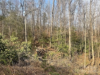 1 High Country Dr Unit 1&2, Old Fort, NC 28762