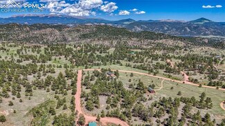 680 Crescent Dr, Florissant, CO 80816