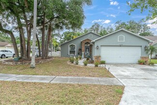 10316 Copperwood Dr, New Port Richey, FL 34654