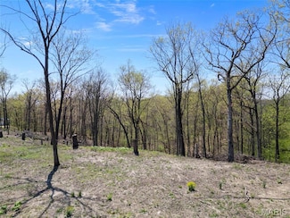 0 Iron Mountain Bluff-Wicks Rd Unit MAR25023446, Arnold, MO 63010