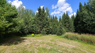 10407 Ash River Trail, Orr, MN 55771